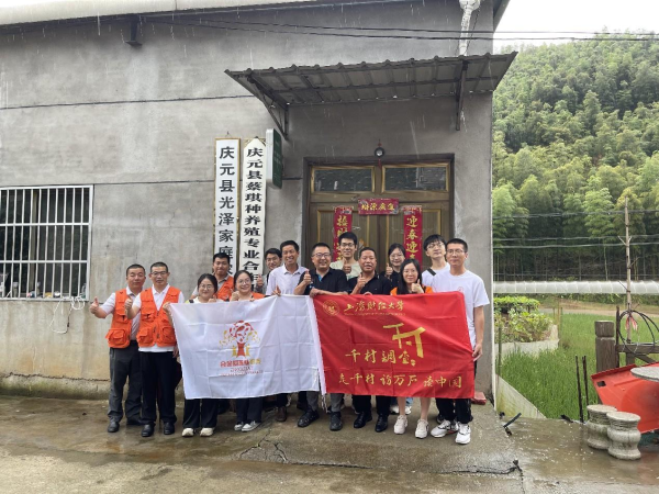 图片8