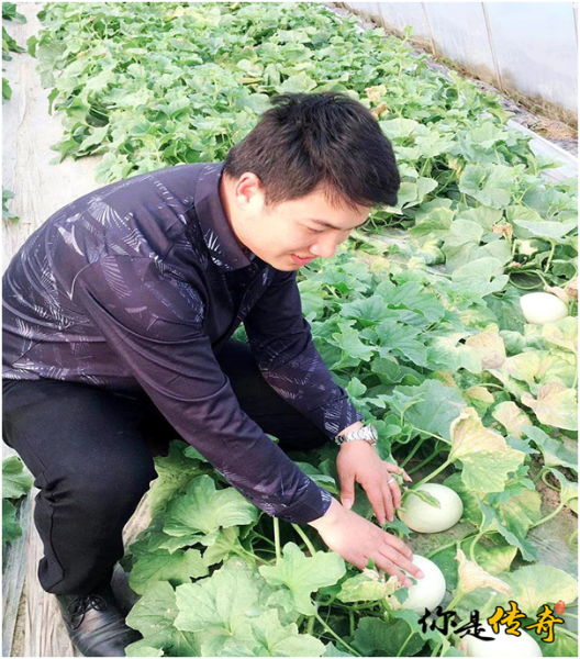 无标题